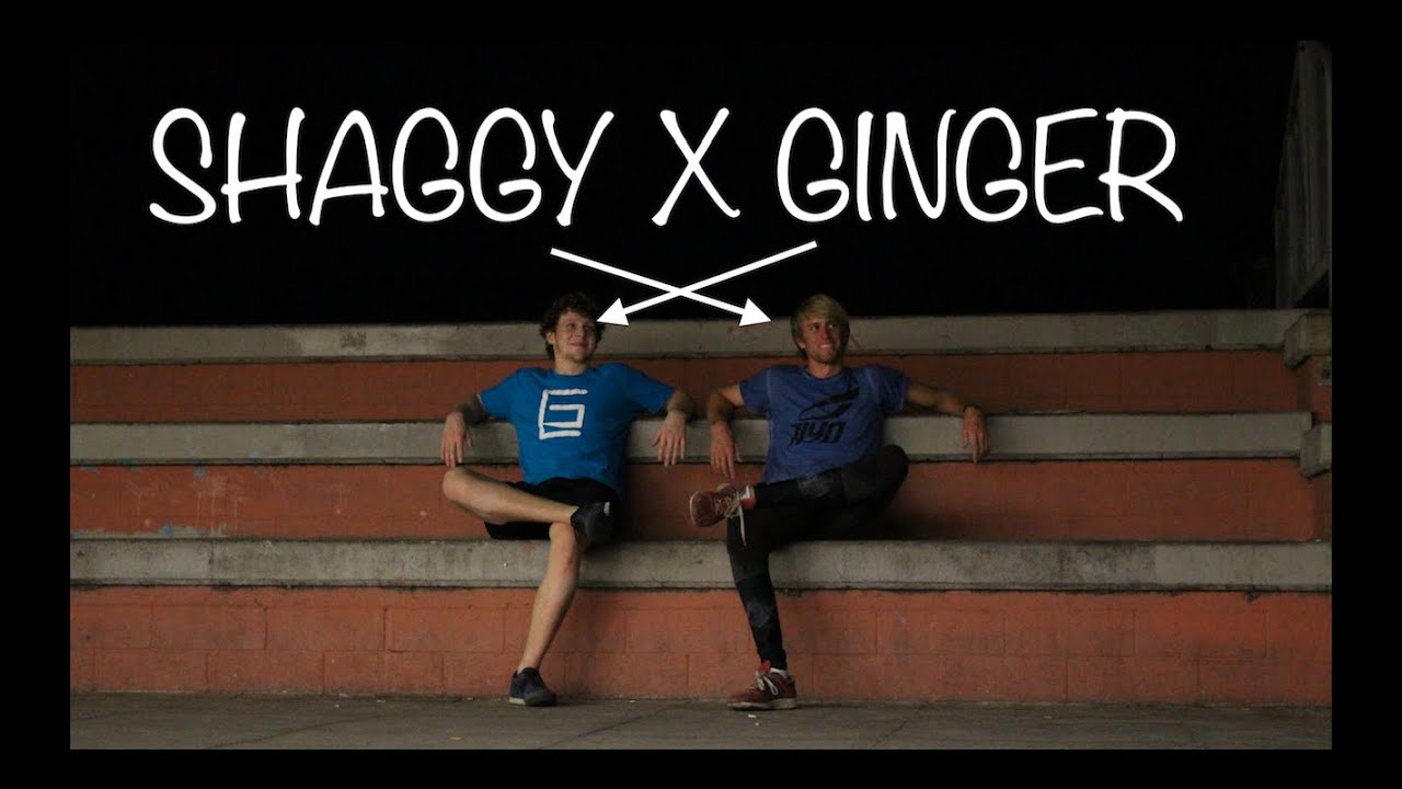 Shaggy X Ginger