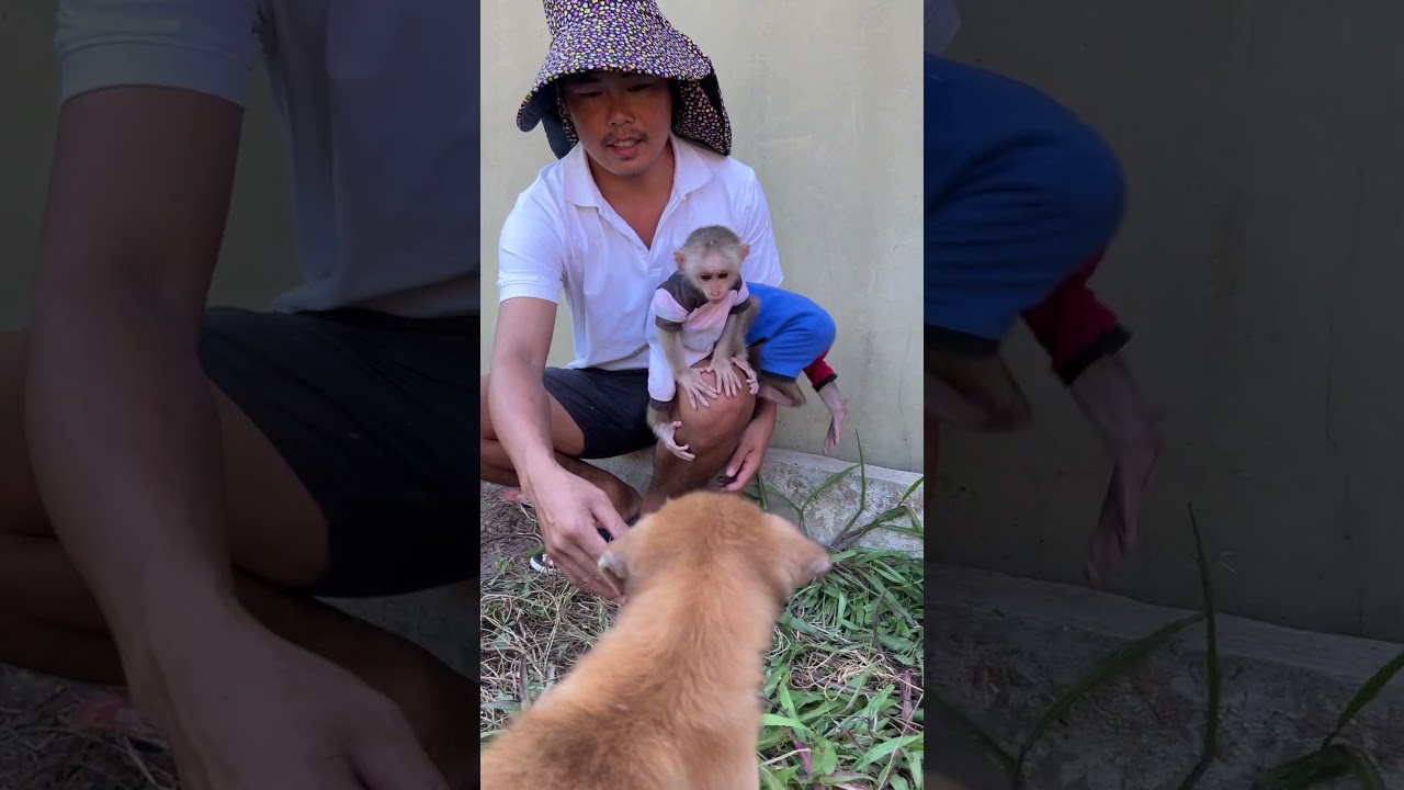 Lovely Minea & Puppy