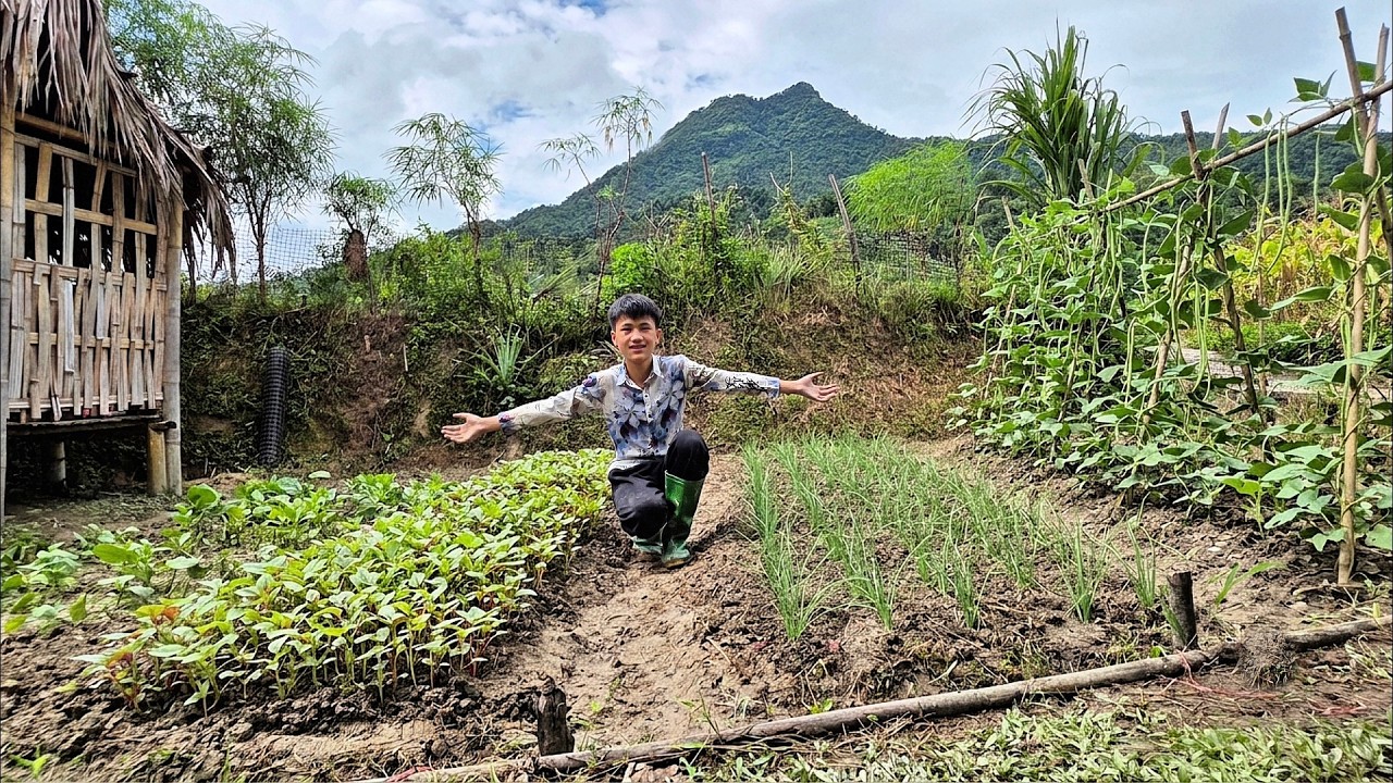 Nam works in the garden to grow delicious vegetables that customers love