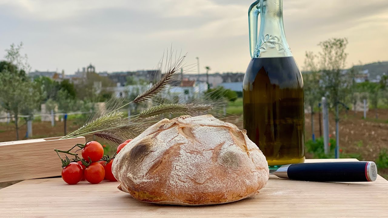 PANE di ALTAMURA fatto in casa ricetta originale Pugliese