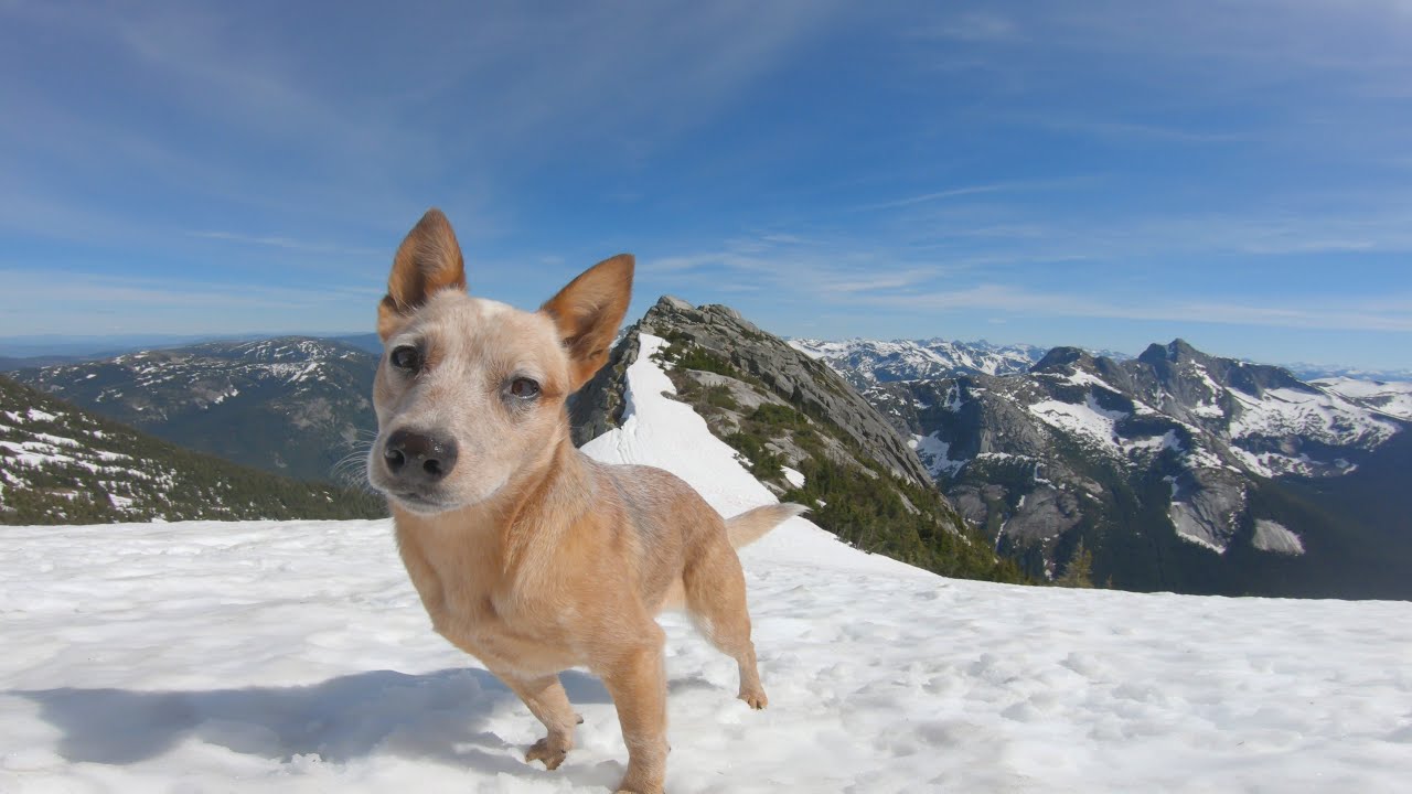 Yak Peak Hike and Fly