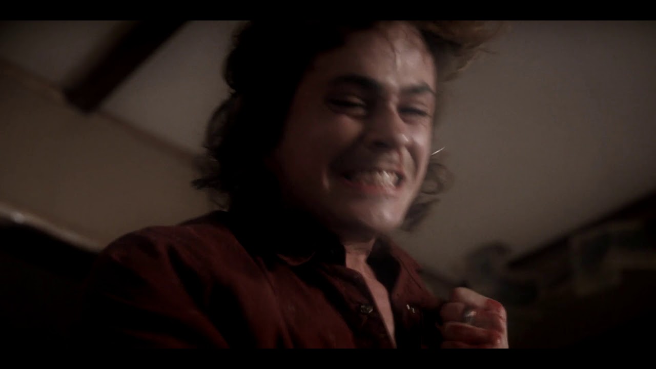 stranger things harringrove; stay