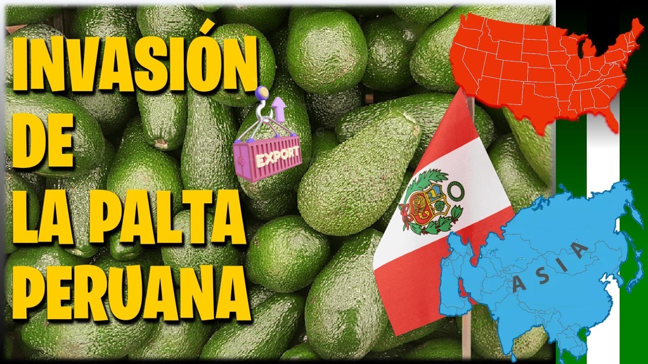 PALTA PERUANA INVADE ASIA | PERÚ 🚀