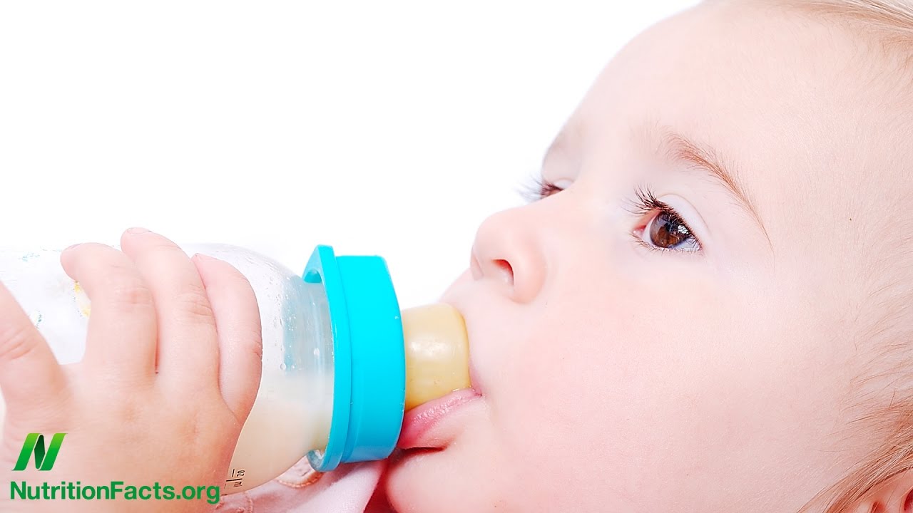 Are the BPA-Free Alternatives Safe?
