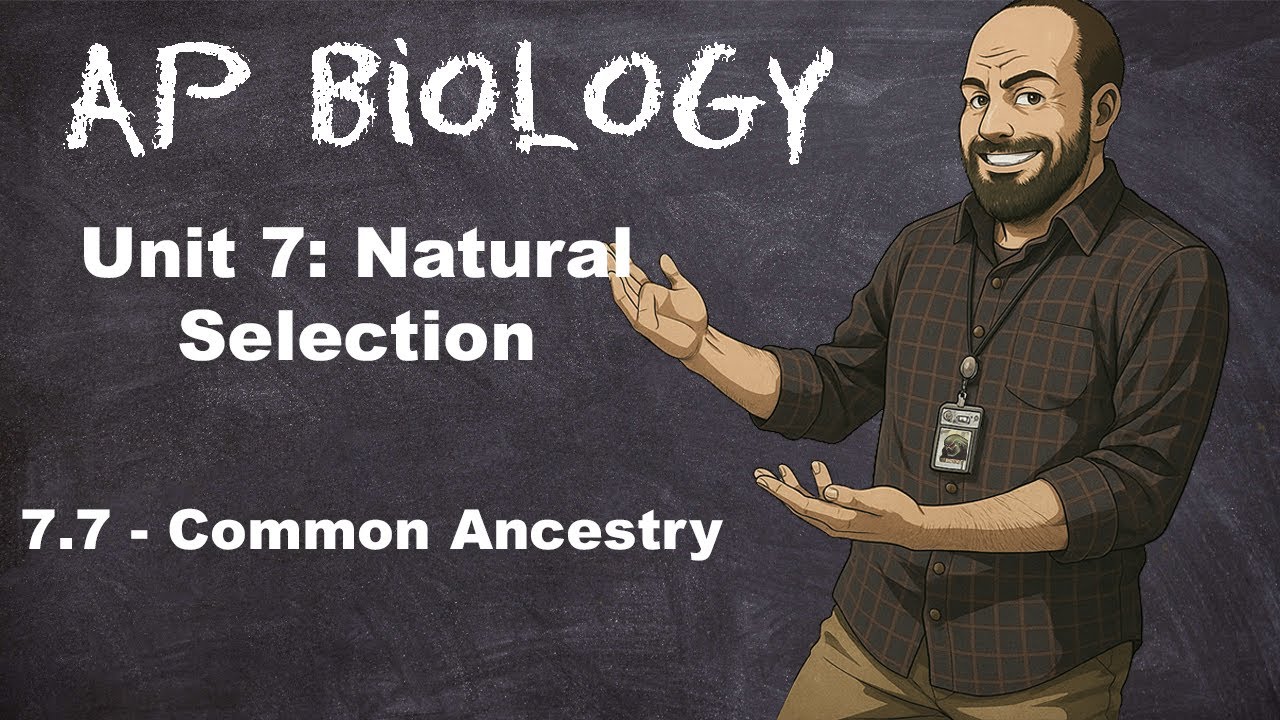AP Bio, Раздел 7 – Тема 7.7 ​​– Общее происхождение