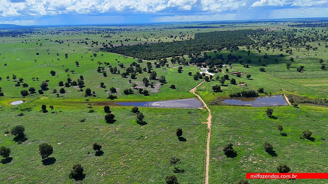 Fazenda de dupla aptidão montada para pecuária – Vale do Araguaia (GO) #fazendaavenda #agronegócio