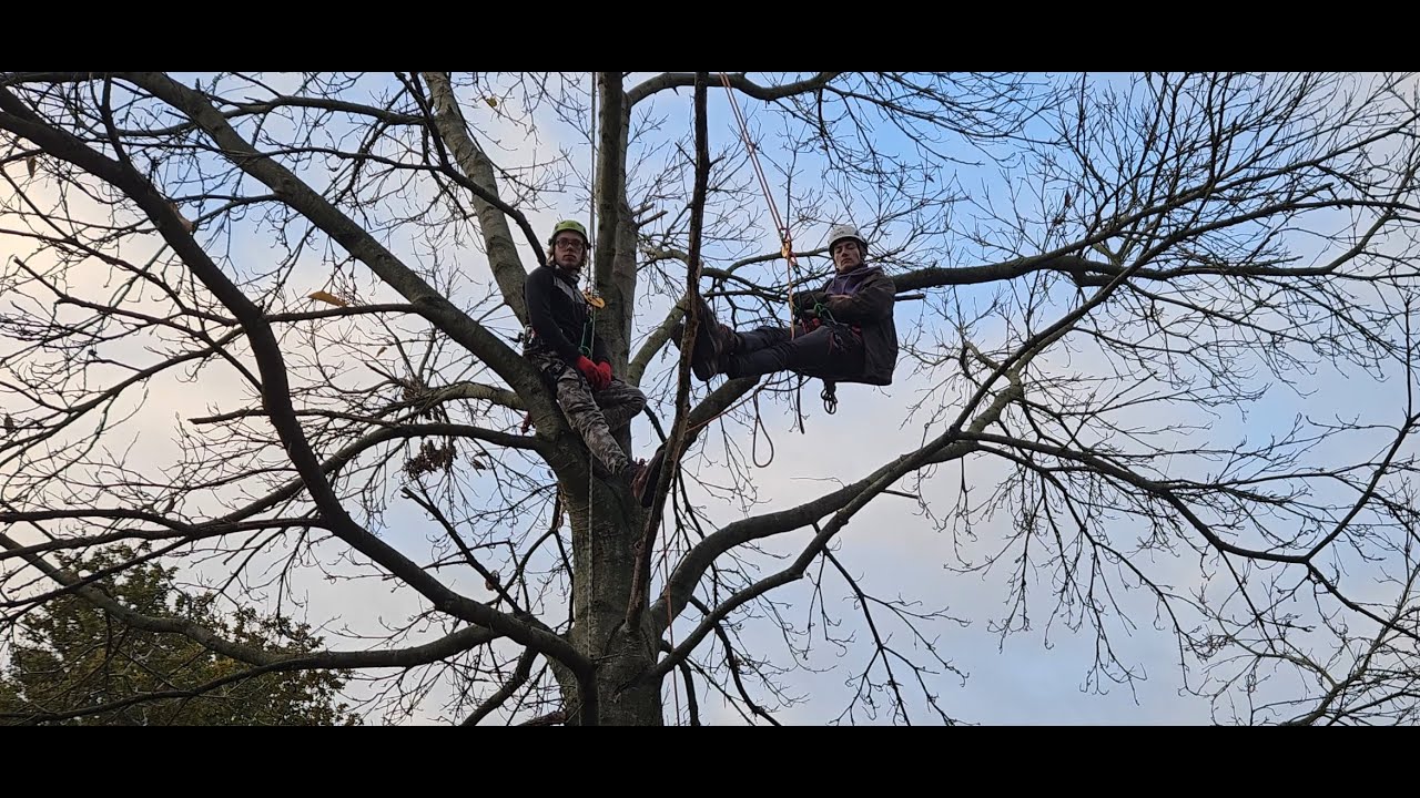 25 Metre Arb Zipline, a Day at the Pocket Park.
