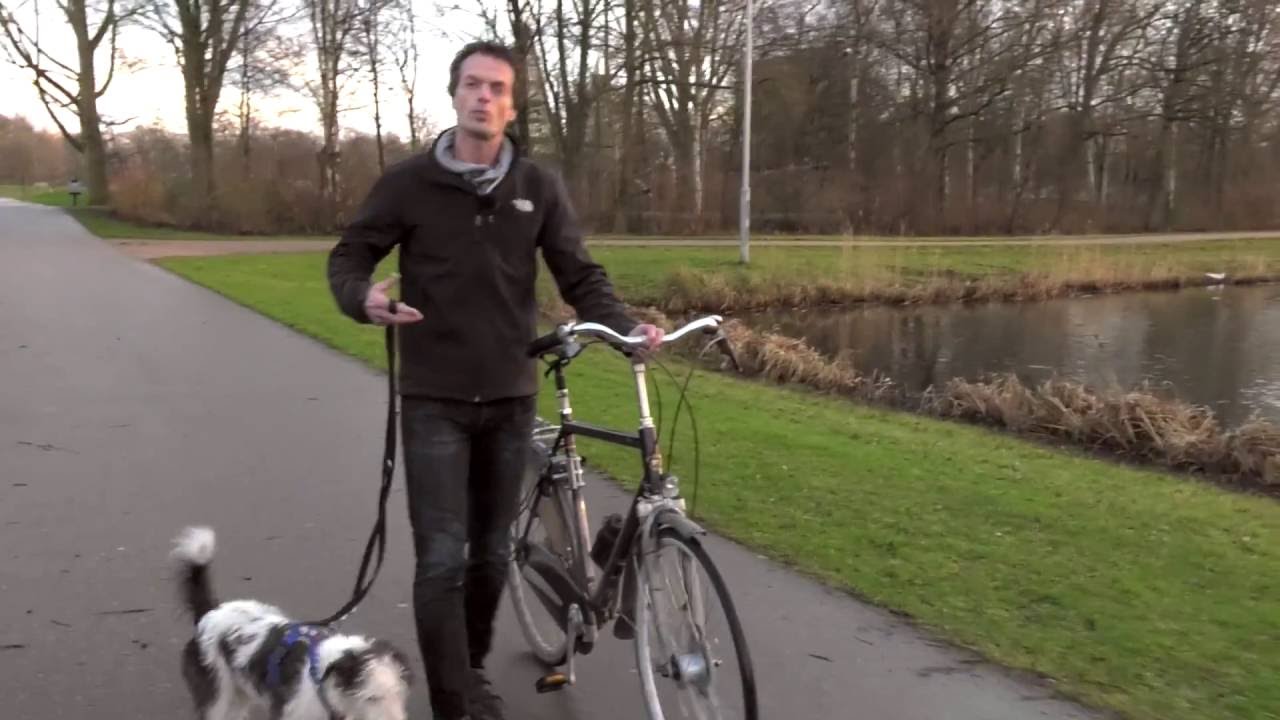 3 tips om te fietsen met je hond