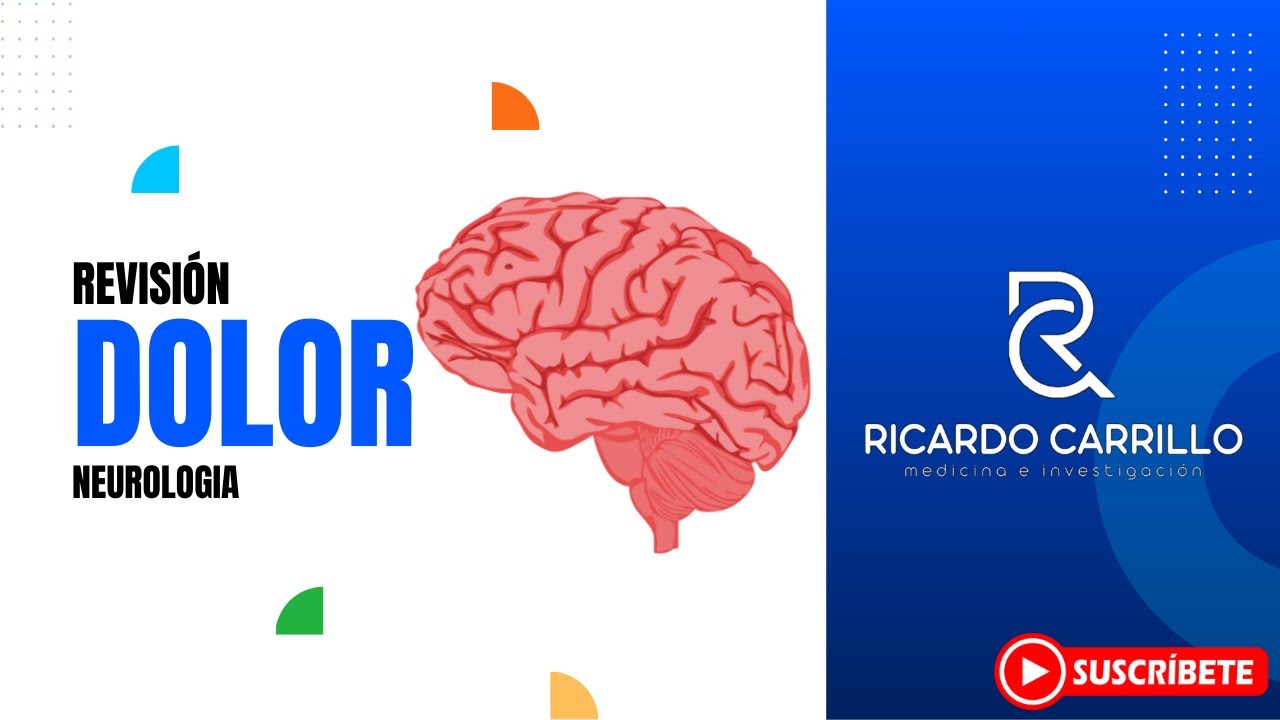 Fisiología del dolor somático (Básicas) l Neurología