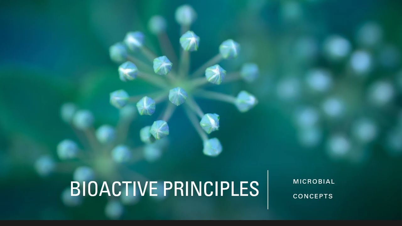 BIOACTIVE PRINCIPLES | Bioactive ingredients Vs Bioactive principles | 5 imp viva questions | Micro