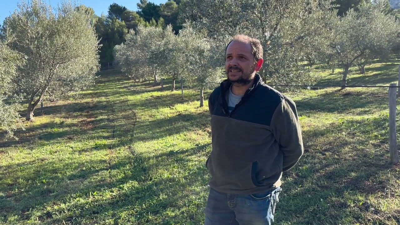 OvinAlp au Domaine de Puybernier