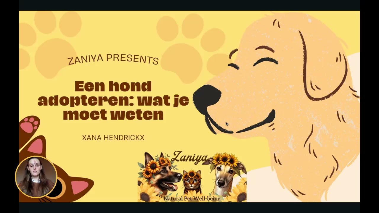 🐶 Een Hond Adopteren uit het Asiel of Buitenland? Dit Moet Je Weten! 🌍