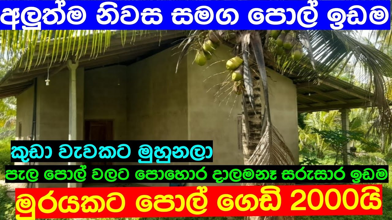 Coconut Land With House For Sale Sri Lanka cheapest land | aduwata gewal | aduwata idam | Idam Kadam