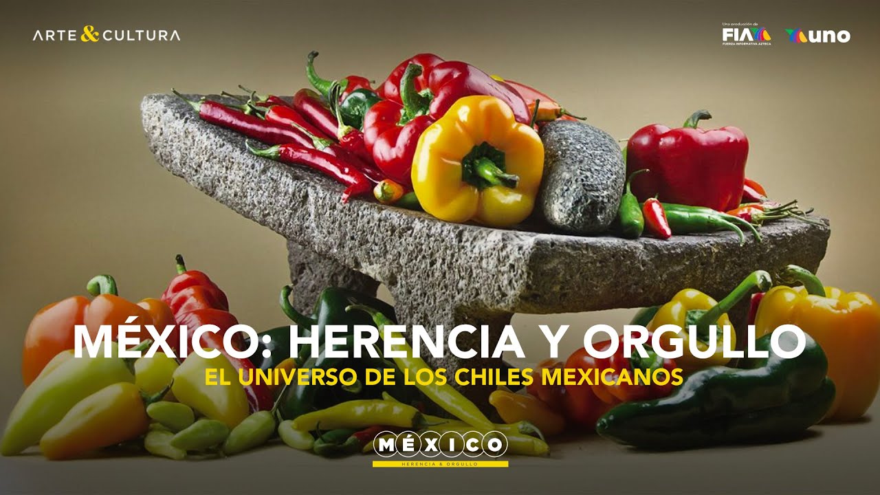 El universo de los chiles mexicanos