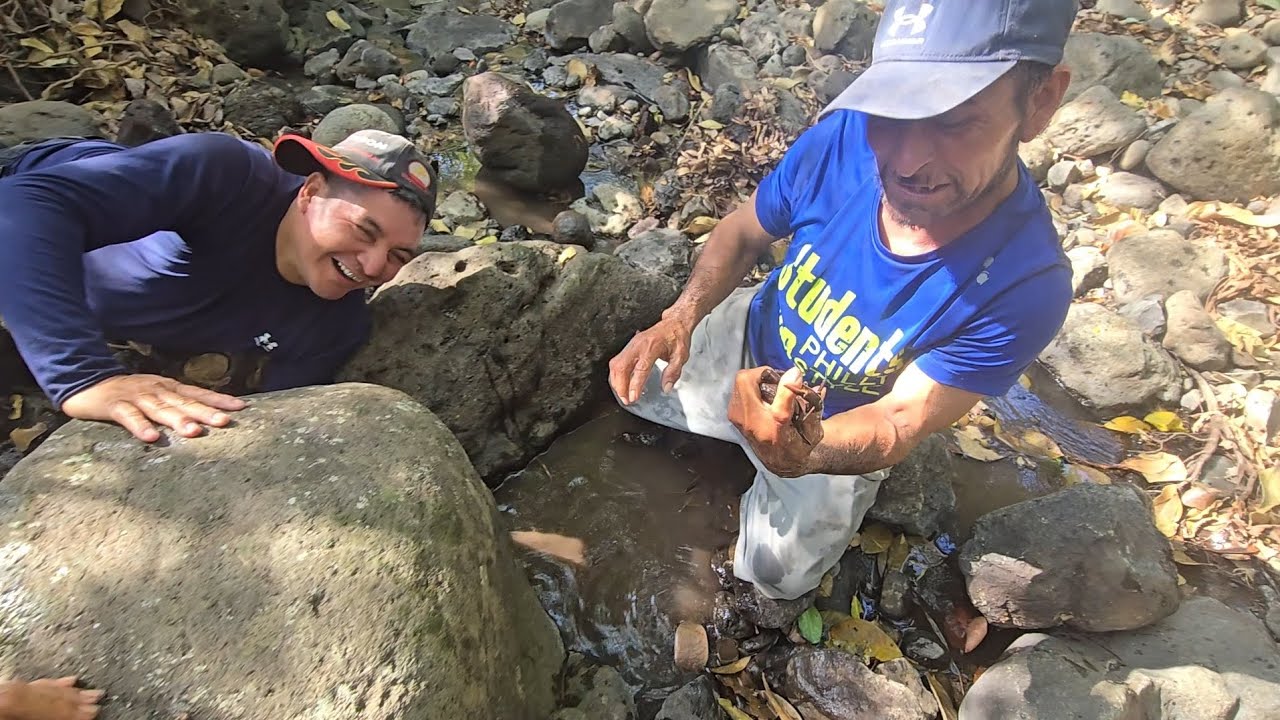 🦀a rambo lo mordió un enorme cangrejos 