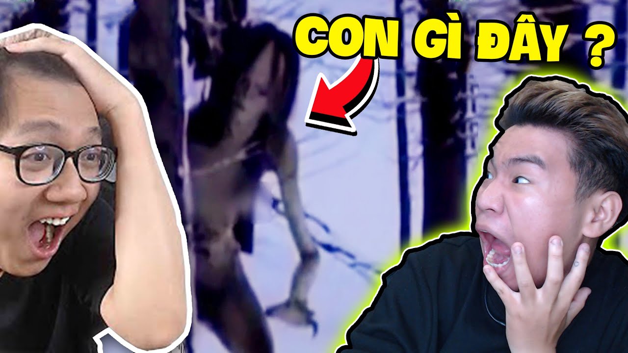 Những Sinh Vật Kì Quái Nhất Thế Giới