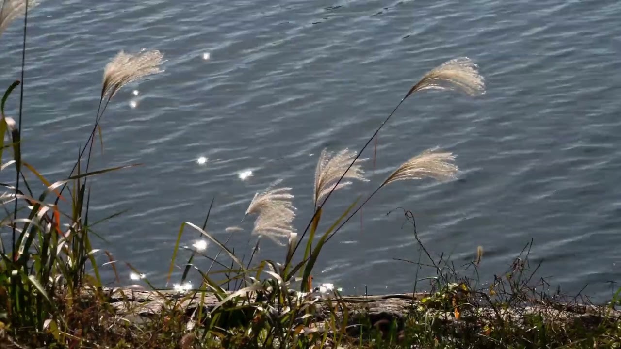 Vaikeiden tunteiden kohtaaminen – ohjattu meditaatio (12 min) | Läsnäoloharjoitus suomeksi