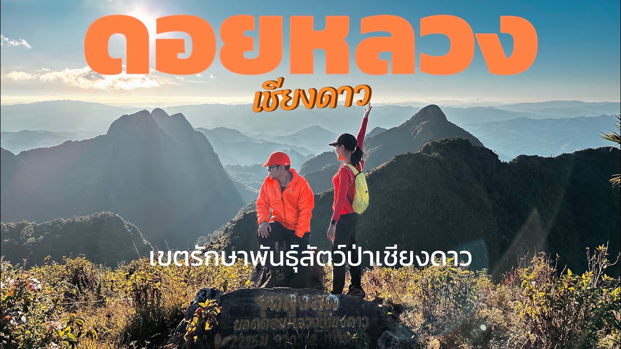 ดอยหลวงเชียงดาว | แบกเป้ เดินป่า เส้นทางศึกษาธรรมชาติดอยหลวงเชียงดาว ที่ใครมาก็ต้องหลงรัก