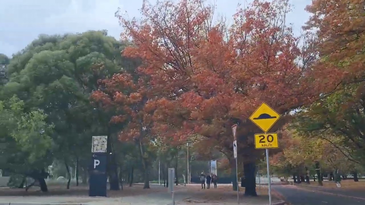 Canberra Suburbs in Autumn