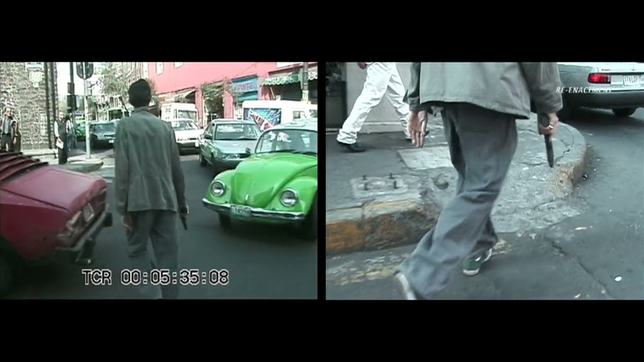 Francis Alÿs Re-Enacment