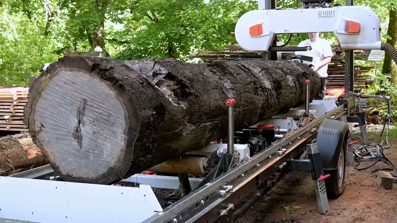 Resurrecting 400-Year-Old Logs: Crafting History into Modern Treasures!