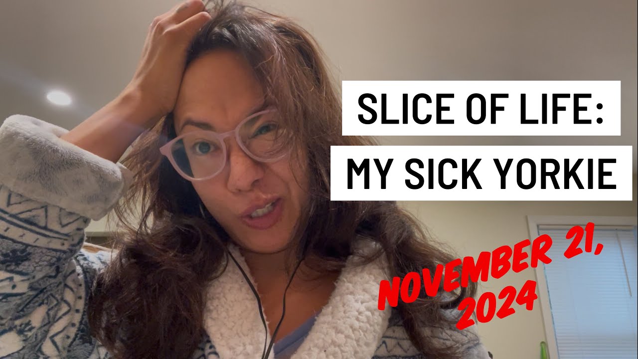 Slice of Life: hemorrhagic gastroenteritis is no fun. Wake up & Feed Lulu