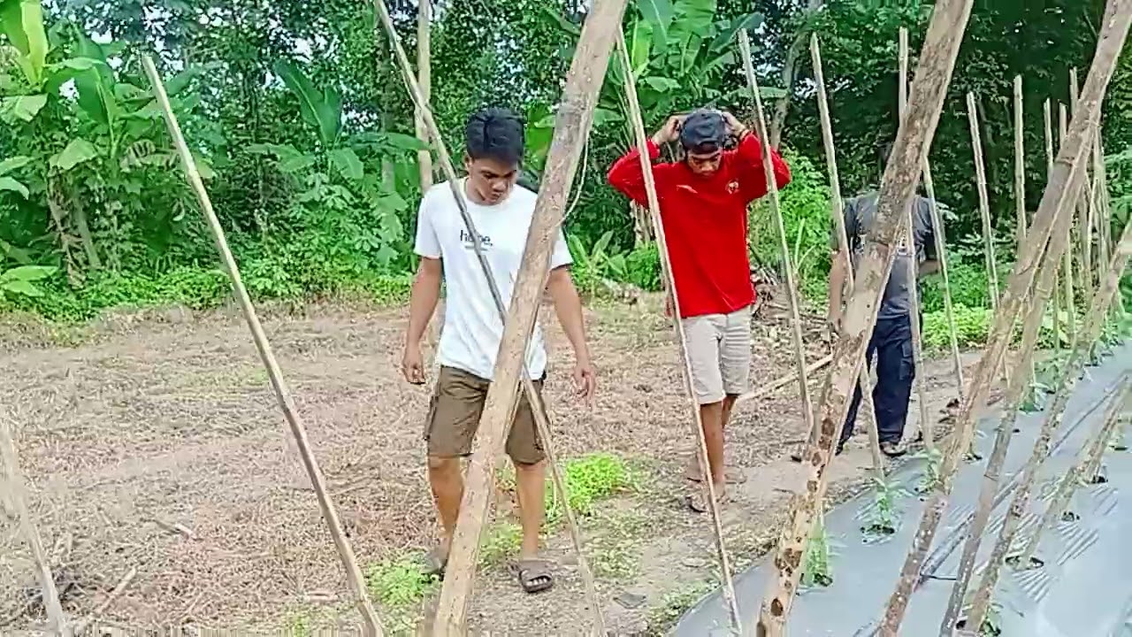PENCARIAN TITIK LOGAM MULIA 