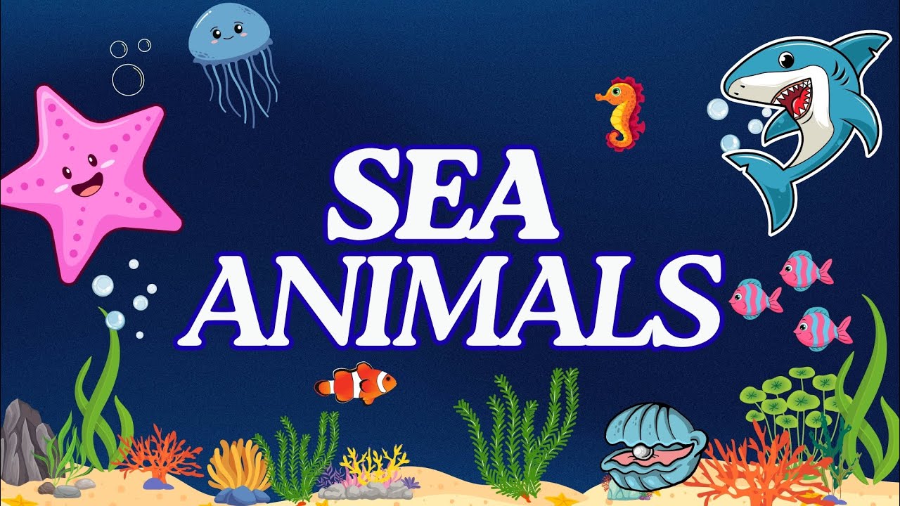 🐬 Sea Animals for Kids | Learn Ocean Animal Names | KidsABC