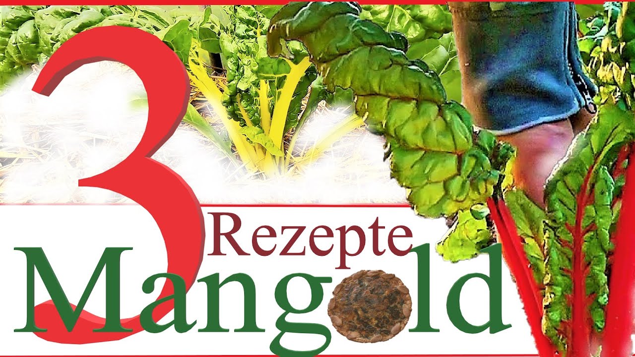 Mangold 3 schnelle Rezepte vom Profi | Quiche | Omelett | Vegan Rolls