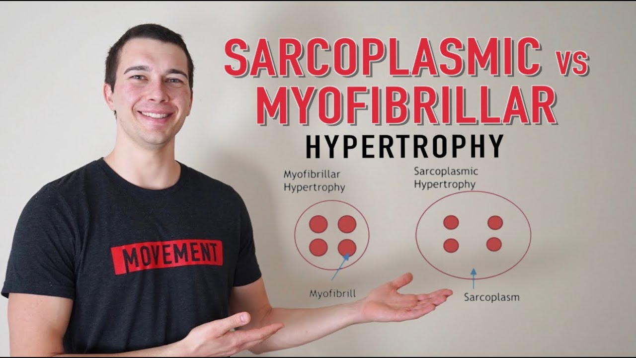 Sarcoplasmic vs. Myofibrillar Hypertrophy