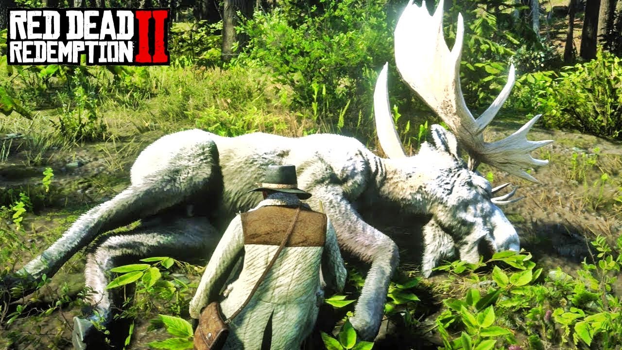HUNTING THE LEGENDARY BIG ANIMAL || RED DEAD REDEMPTION 2 #12