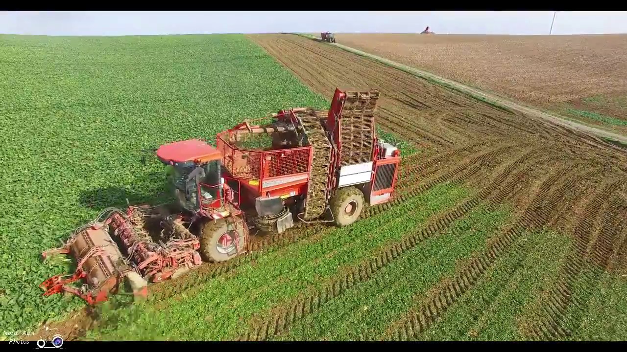 Arrachage betteraves 2017 (Ardennes). Holmer T3 Fendt 720 & 722.