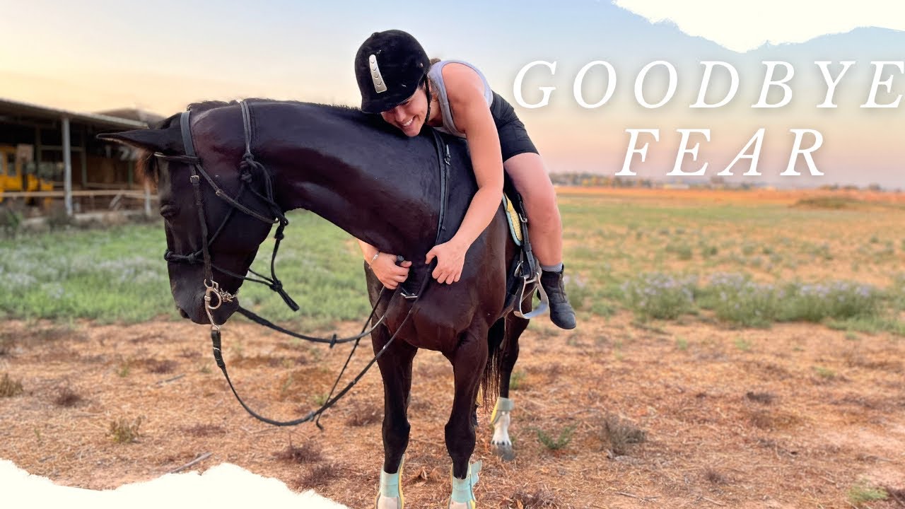 How to BUILD your HORSES CONFIDENCE, DESENSITIZE & make them LESS SPOOKY! #equestrian #horse #spooky