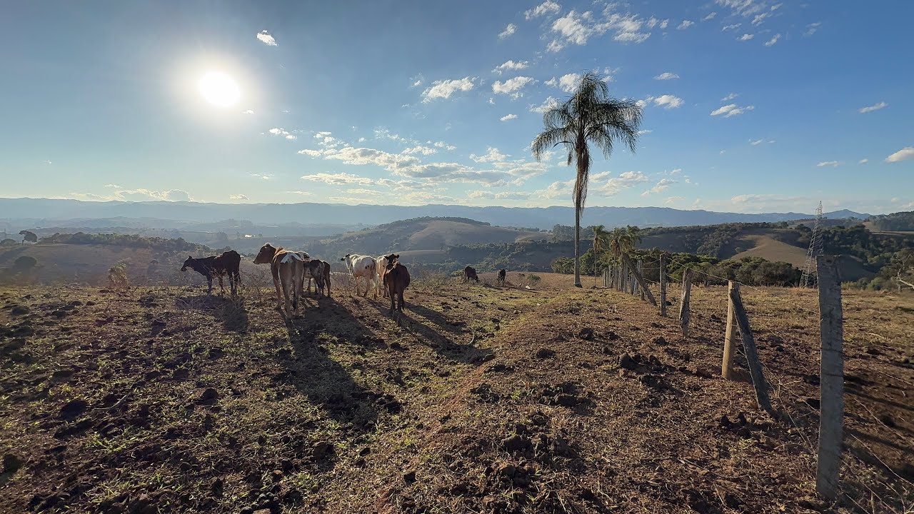 Terreno com Vista Privilegiada a 1 km do Asfalto | água | Luz | em Cambuí MG | 100% aproveitável 