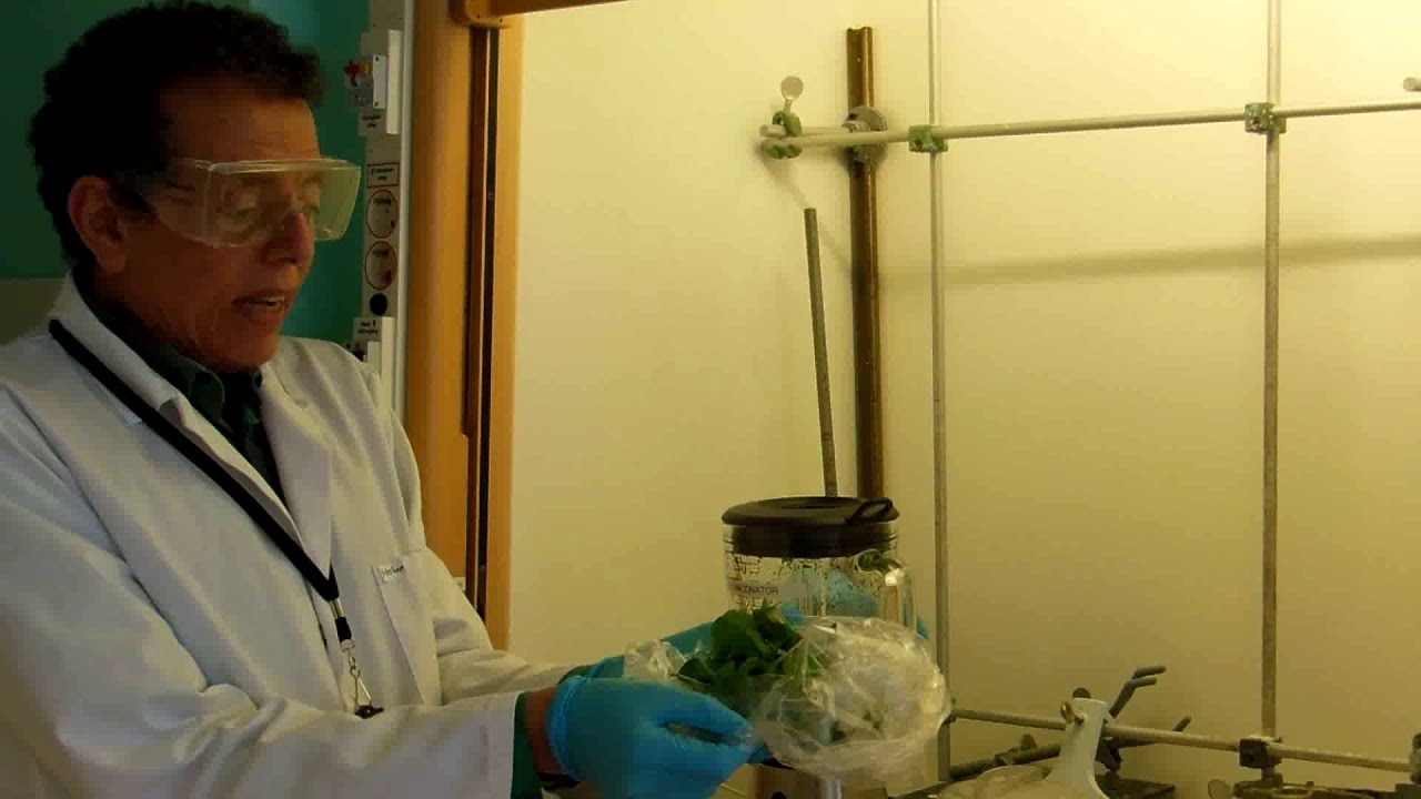 Extraction of bioactive compounds from natural sources