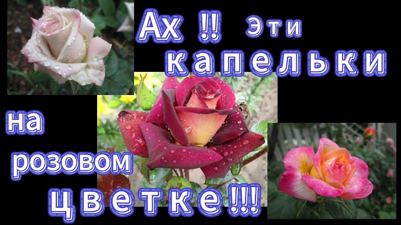 Хрустальное  чудо  природы !