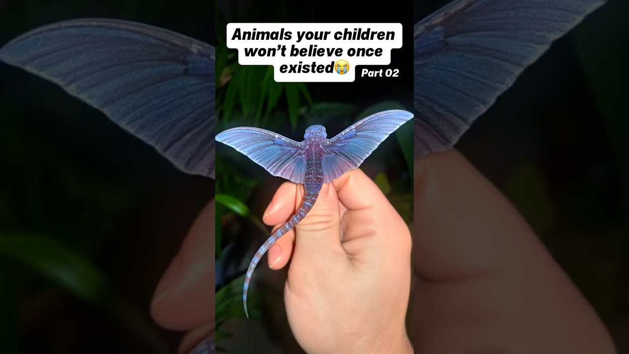 Animals your children won&rsquo;t believe once existed 😭❤️ #saveanimals #endangeredspecies
