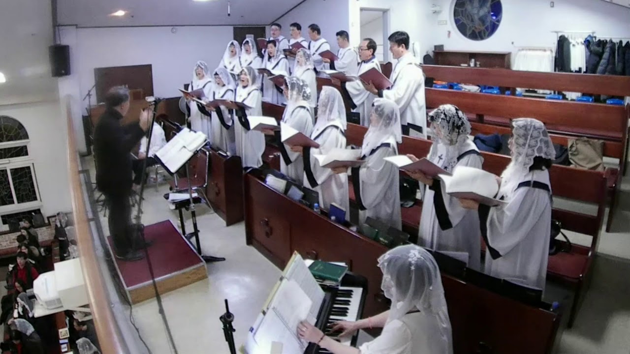 [동탄 숲속 성가대] 주님 성탄 대축일 밤미사 구유경배 특송 - 촛불 캐롤