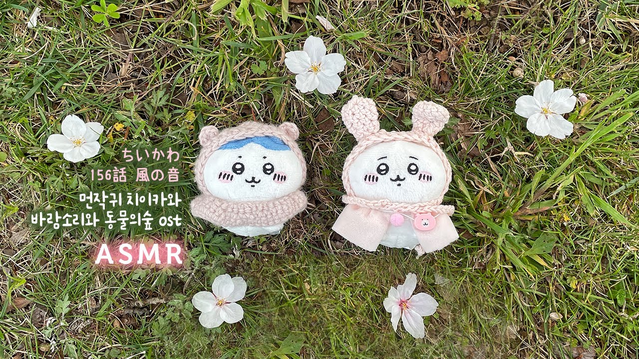 Chiikawa🌸Sakura Rain and Windy Ambience with Animal Crossing OST | Crickets, Relaxing, Soothing