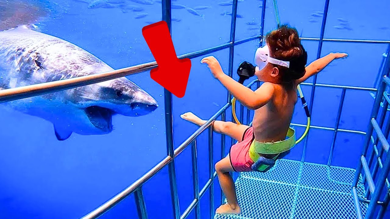 Seconds Before Disaster - Footage You Were Never Meant to See😨