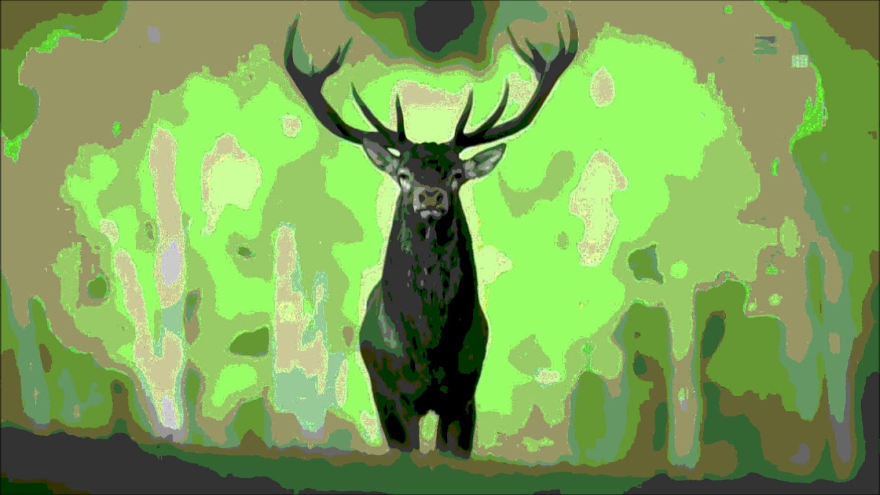 The Black Angels - Phosgene  Nightmare-