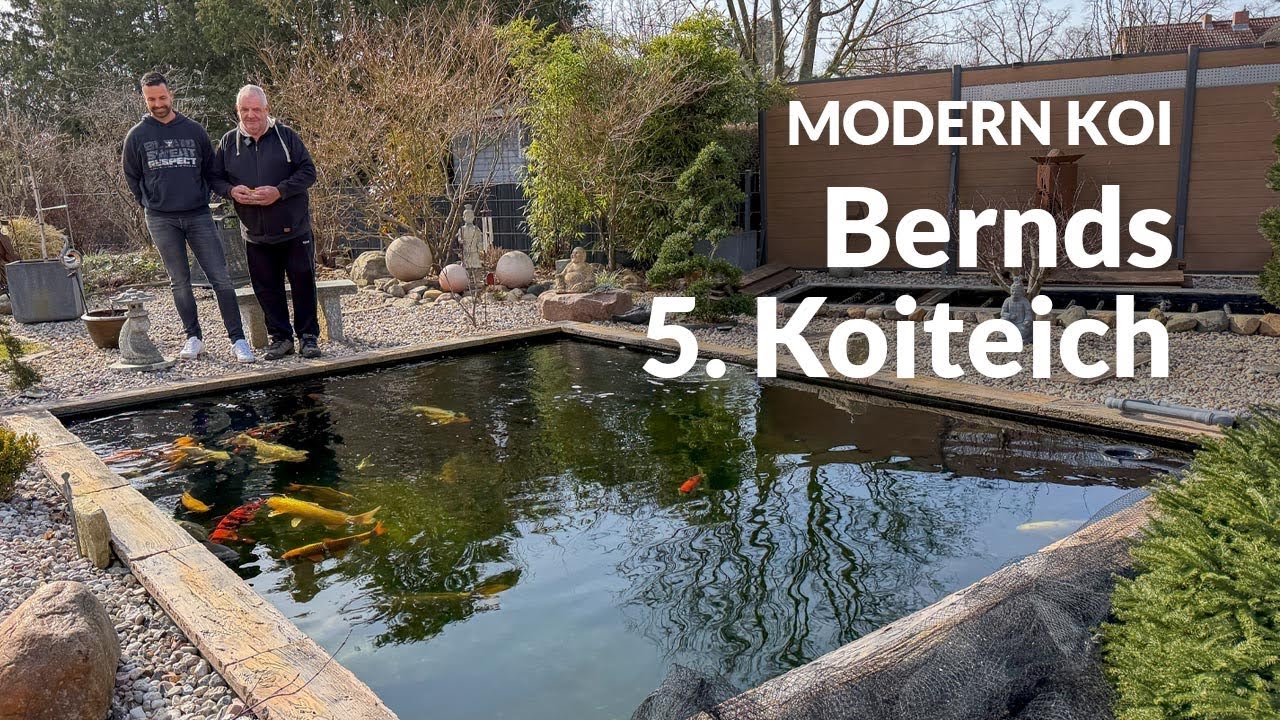 Mit Koi Zossen: Bernds 23.000l Koiteich | Modern Koi Blog #7997