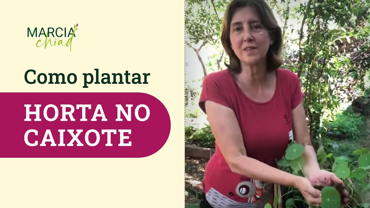 COMO PLANTAR HORTA ORG&Acirc;NICA NO CAIXOTE | Marcia Chiad