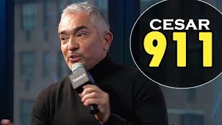 CESAR MILLAN about CESAR 911 episodes on Nat Geo WILD | Interview February 04, 2016