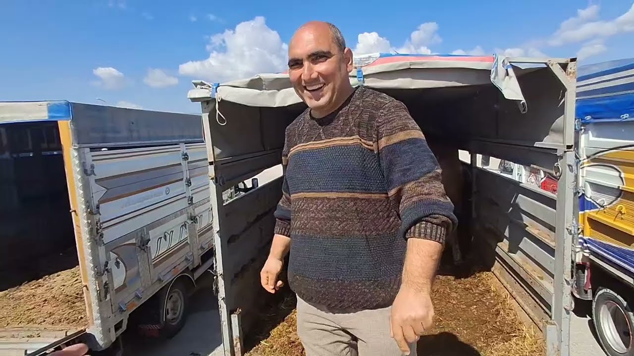 ÇORUM HAYVAN PAZARI BÜYÜKBAŞ  21 NİSAN ÇEKİMİ 4.BÖLÜM  24 NİSAN 2025