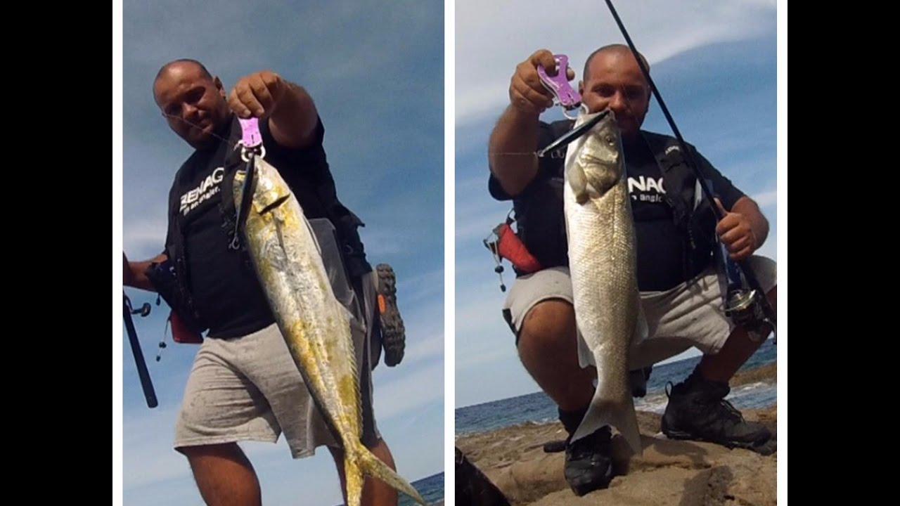 Sea Bass and Dorado (Mahi Mahi) Hunting together! Feat. ZENAQ PA 89 Technical Surfer