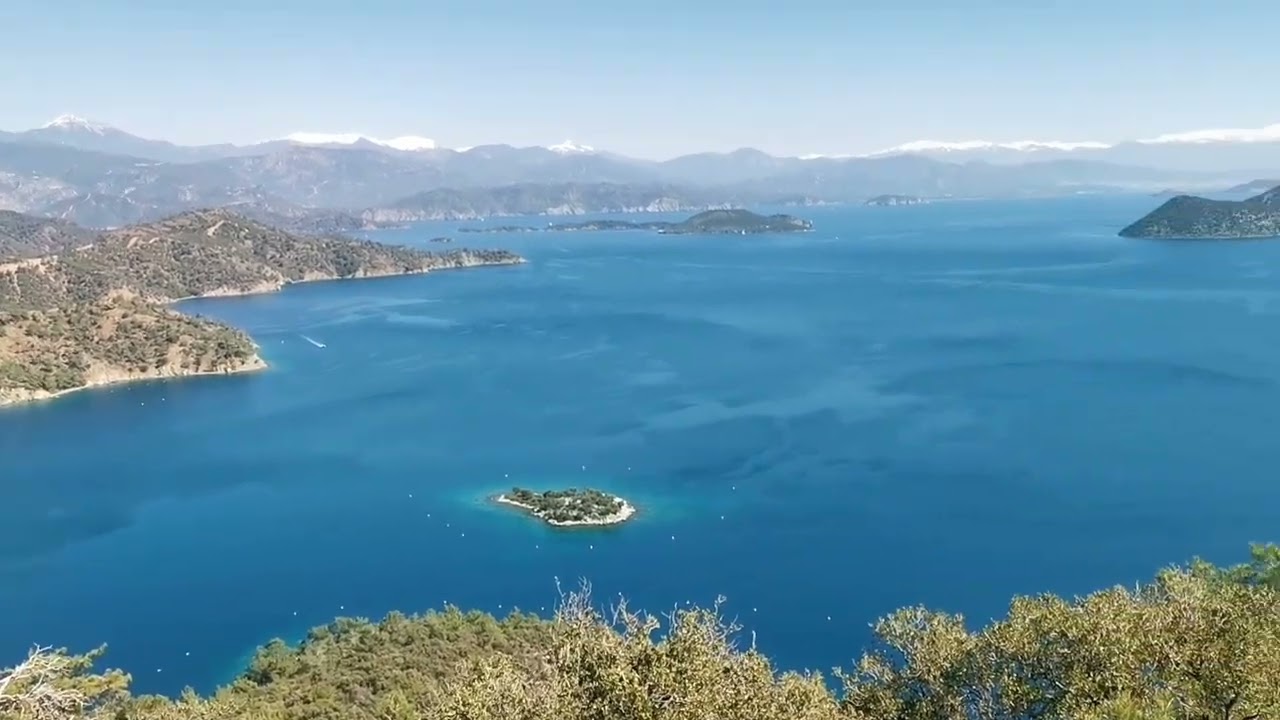 SARSALA KOYUNDAN BEDRİ RAHMİ KOYUNA ORDAN KİLLE KOYUNA