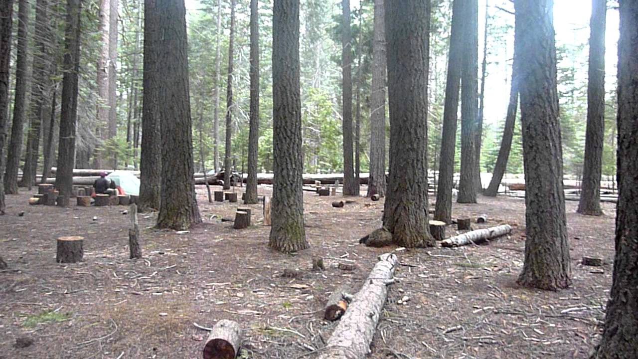 Yosemite: Little Yosemite Valley Campground