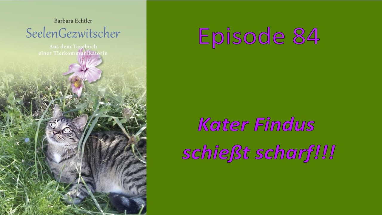 SeelenGezwitscher - Episode 84 - Kater Findus schießt scharf!!!
