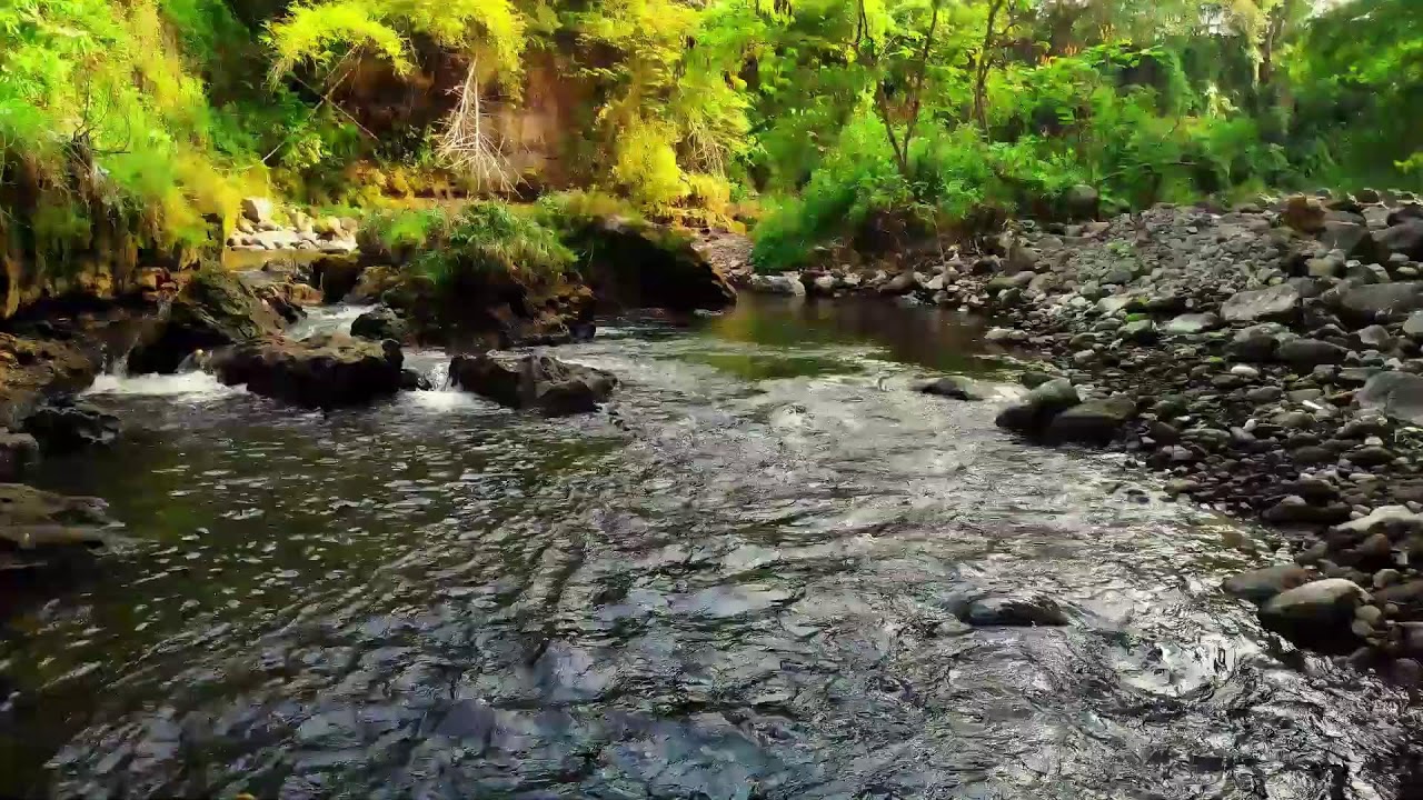 Let the Relaxing River Sound Heal Your Mind and Ease Mental Disorders